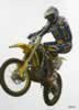 SMETS AIR ANDRE ps web.jpg (41,307 bytes)